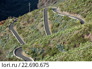 Узкая дорога TF-436 из Сантьяго дель Тейде (Santiago del Teide) в деревню Маска (Masca). Тенерифе, Канарские острова, Испания (2016 год). Стоковое фото, фотограф Кекяляйнен Андрей / Фотобанк Лори
