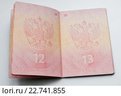 Чистая страница загранпаспорта гражданина России на светлом фоне. Стоковое фото, фотограф Игорь Низов / Фотобанк Лори