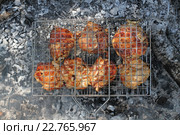 Приготовление мяса на гриле над огнем. Шашлык из куриных бедрышек  обжаривают на костре на специальной решетке барбекю. Стоковое фото, фотограф Александров Никита / Фотобанк Лори