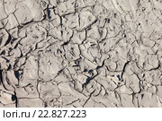Ground surface with cracked as the background. Стоковое фото, фотограф FotograFF / Фотобанк Лори