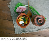 sour Russian soup. Стоковое фото, фотограф Александр Fanfo / Фотобанк Лори