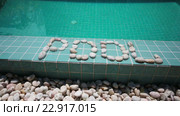 Надпись pool выложена галькой. Стоковое видео, видеограф Куликов Константин / Фотобанк Лори