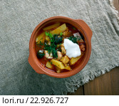 sour Russian soup. Стоковое фото, фотограф Александр Fanfo / Фотобанк Лори