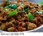 Chicken Keema. Стоковое фото, фотограф Александр Fanfo / Фотобанк Лори