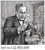 Пастер. Малая советская  энциклопедия, 1931 год. Стоковая иллюстрация, иллюстратор Макаров Алексей / Фотобанк Лори