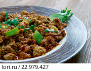 Chicken Keema. Стоковое фото, фотограф Александр Fanfo / Фотобанк Лори