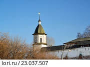 Москва, Спасо-Андронников монастырь (2016 год). Редакционное фото, фотограф Володина Ольга / Фотобанк Лори