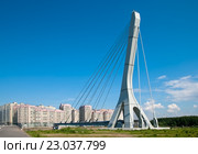 Вантовый мост для тепломагистрали над  Дудергофским каналом. Санкт-Петербург (2016 год). Редакционное фото, фотограф Румянцева Наталия / Фотобанк Лори