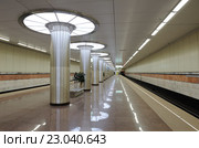 Станция метро "Котельники" Московского метрополитена (2015 год). Редакционное фото, фотограф Денис Ларкин / Фотобанк Лори