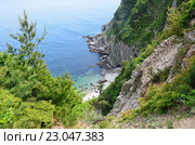 Остров Петрова, Приморский край. Хвойный лес на скалистых берегах. Стоковое фото, фотограф Овчинникова Ирина / Фотобанк Лори