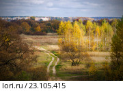 Золотая осень. Пейзаж. Осенний лес. Борисов. Беларусь. (2014 год). Стоковое фото, фотограф Писаревский Владислав / Фотобанк Лори