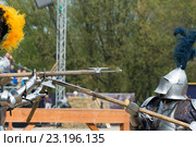 Международный рыцарский "Турнир святого Георгия" (2016 год). Редакционное фото, фотограф Алексей Бок / Фотобанк Лори