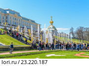 Люди гуляют в Нижнем парке Петергофа у Большого Самсоновского канала с фонтанами (2016 год). Редакционное фото, фотограф Sergei Gushchin / Фотобанк Лори