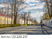 Правленская улица в Петергофе (2016 год). Редакционное фото, фотограф Sergei Gushchin / Фотобанк Лори