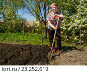 Пожилая женщина перекапывает землю на участке. Стоковое фото, фотограф Вячеслав Палес / Фотобанк Лори