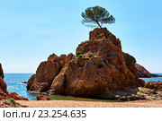 Пляж Mar Menuda Beach в Тосса-де-Маре, Испания (2016 год). Стоковое фото, фотограф Alexander Tihonovs / Фотобанк Лори
