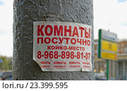 Объявление сдаче комнат посуточно, висящее на столбе (2016 год). Редакционное фото, фотограф Александр Замараев / Фотобанк Лори