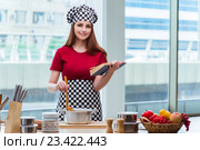 Young housewife referring to recipe book. Стоковое фото, фотограф Elnur / Фотобанк Лори