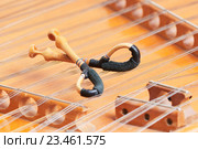 dulcimer stringed musical instrument with hammer. Стоковое фото, фотограф Дмитрий Калиновский / Фотобанк Лори