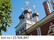 Купола Храма Ризоположения (Церковь Положения Ризы Господней в Успенском Соборе в Москве) на Донской летним днем. Москва (2016 год). Стоковое фото, фотограф E. O. / Фотобанк Лори