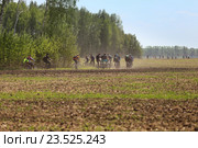 Велосипедисты на пыльной дороге (2016 год). Редакционное фото, фотограф Анатолий Матвейчук / Фотобанк Лори