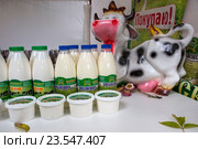 Фермерские натуральные молочные продукты владимирской области на прилавке агропромышленной выставки "Владимирская Русь" в центре города Владимира, Россия (2016 год). Редакционное фото, фотограф Николай Винокуров / Фотобанк Лори