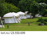 Палатки для проживания гостей кемпинга Khao Kheaw es-ta-te Camping Resort в Таиланде на территории зоопарка Кхао Кхео Опен Зоо (2016 год). Стоковое фото, фотограф Natalia Sidorova / Фотобанк Лори