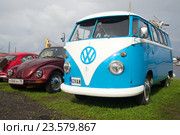 Автомобиль Volkswagen Beetle и микроавтобус Volkswagen T1 Kombi 1950-х годов фестивале ретроавтомобилей "Фортуна-2016". Кронштадт. Стоковое фото, фотограф Виктор Карасев / Фотобанк Лори