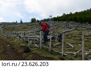 Турист перелезает через забор на Огненной Земле (2014 год). Редакционное фото, фотограф Free Wind / Фотобанк Лори
