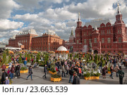 Сырная ярмарка в Москве на Манежной площади (2016 год). Редакционное фото, фотограф Наталья Волкова / Фотобанк Лори
