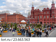 Сырная ярмарка в Москве на Манежной площади (2016 год). Редакционное фото, фотограф Наталья Волкова / Фотобанк Лори