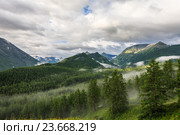 Алтай июль. Усть-Коксинский район. Облака над горами и лесом. Стоковое фото, фотограф Владимир Панкевич / Фотобанк Лори
