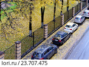 Осенний листопад (2016 год). Редакционное фото, фотограф Илюхин Илья / Фотобанк Лори