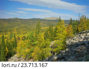 Золотая осень на Таганае. Вид на вершину Откликной гребень. Стоковое фото, фотограф Игорь Потапов / Фотобанк Лори