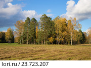Осенний пейзаж со скошеным полем. Россия. Стоковое фото, фотограф Виктор Карасев / Фотобанк Лори