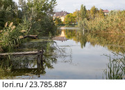 Старый причал у реки (2016 год). Стоковое фото, фотограф Юлия Ухина / Фотобанк Лори