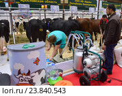 Агропромышленная выставка "Золотая осень" 2016 на ВДНХ. Редакционное фото, фотограф lana1501 / Фотобанк Лори