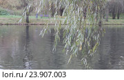 Осенний пейзаж на берегу городского пруда (2016 год). Стоковое видео, видеограф Татьяна Васильева / Фотобанк Лори