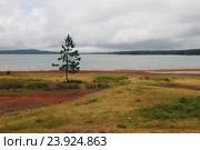 Водохранилище Мар Окс Вакоа (Mare aux Vacoas). Маврикий (2016 год). Стоковое фото, фотограф Вадим Хомяков / Фотобанк Лори