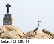 Христианский крест и цапля на скалистом острове в заводях Кералы (backwaters), южная Индия (2012 год). Стоковое фото, фотограф Олег Иванов / Фотобанк Лори
