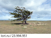 Огненная Земля (2014 год). Стоковое фото, фотограф Free Wind / Фотобанк Лори