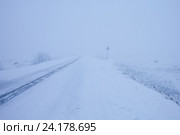 Плохая видимость на трассе в туман зимой. Стоковое фото, фотограф Victoria Demidova / Фотобанк Лори