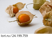 Физалис на светлом фоне. Стоковое фото, фотограф Ready-made / Фотобанк Лори