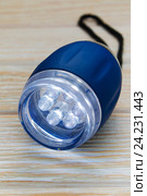LED Flashlight Keychain. Стоковое фото, фотограф Alexander / Фотобанк Лори