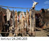 Шкурки диких животных висят на рынке (2014 год). Редакционное фото, фотограф Жукова Юлия / Фотобанк Лори