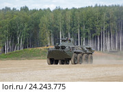 БТР-82а - российский бронетранспортер на Международном военно-техническом форуме "Армия-2016". Московская область, полигон "Алабино" Редакционное фото, фотограф Игорь Долгов / Фотобанк Лори