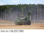 "Тунгуска" (SA-19 Grison) - российский зенитный пушечно-ракетный комплекс на Международном военно-техническом форуме "Армия-2016".Московская область, полигон "Алабино" Редакционное фото, фотограф Игорь Долгов / Фотобанк Лори