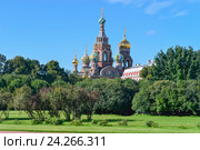 Вид на собор Воскресения Христова (Спас на Крови) со стороны Марсова поля, Санкт-Петербург (2016 год). Стоковое фото, фотограф Геннадий Соловьев / Фотобанк Лори