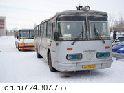 Автобусы Колымской трассы (Р504, М56) в аэропорту г. Магадана (2016 год). Редакционное фото, фотограф Yuriy  Barbaruk / Фотобанк Лори
