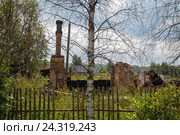 Печная труба сгоревшего дома. Стоковое фото, фотограф Pukhov K / Фотобанк Лори